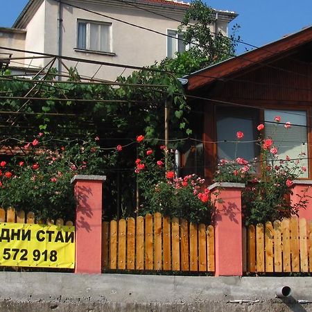 Guesthouse Elena Belogradčik Exteriér fotografie