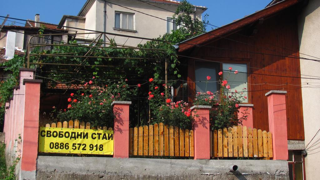 Guesthouse Elena Belogradčik Exteriér fotografie