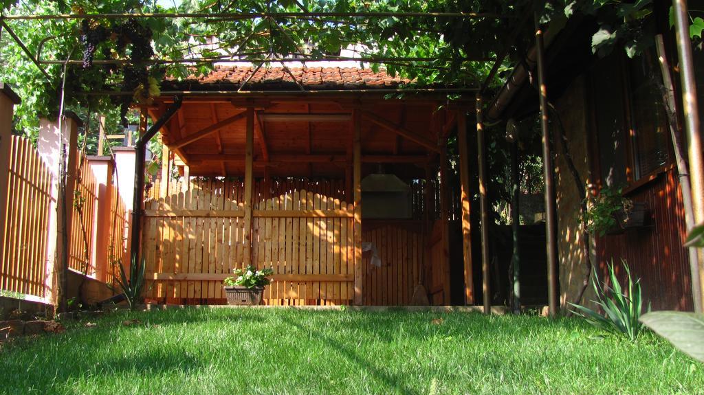 Guesthouse Elena Belogradčik Exteriér fotografie