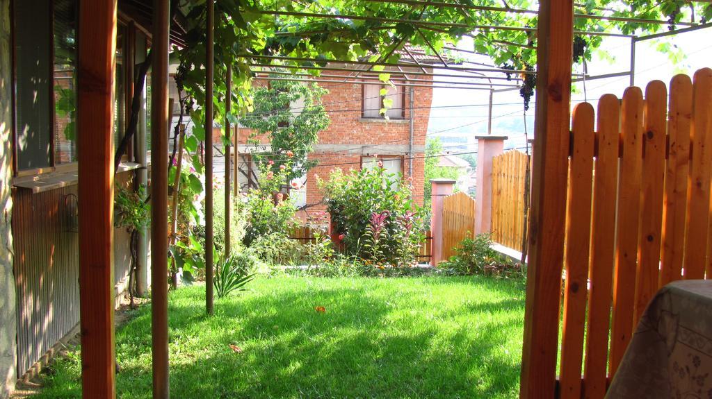 Guesthouse Elena Belogradčik Exteriér fotografie