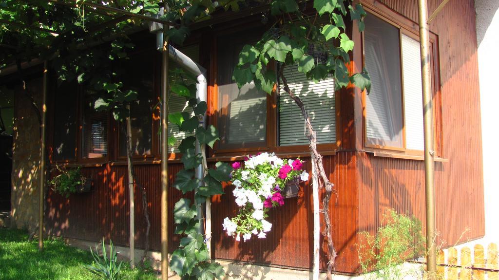 Guesthouse Elena Belogradčik Exteriér fotografie
